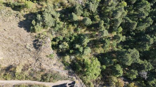 DJI_4060.JPG